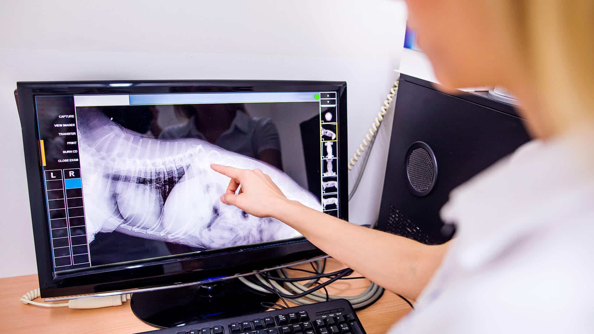 ultrasound radiology diagnostics