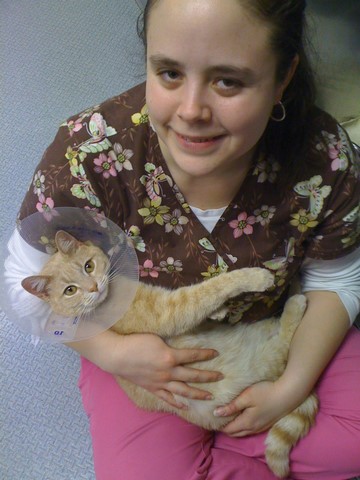 Pet Pain Management